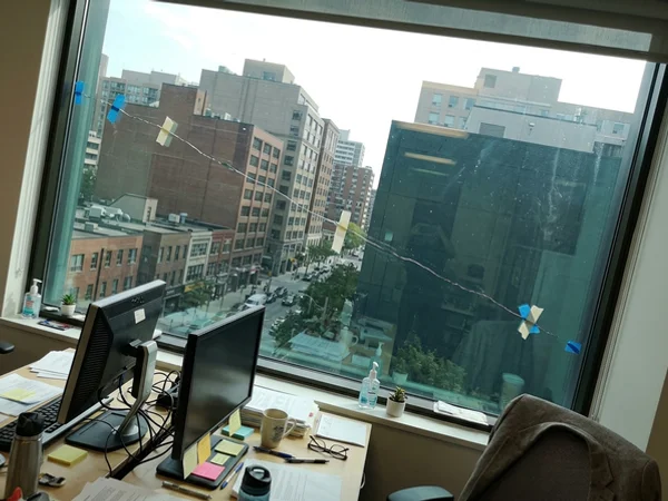 Thermal stress crack across a tinted vision lite in an office tower